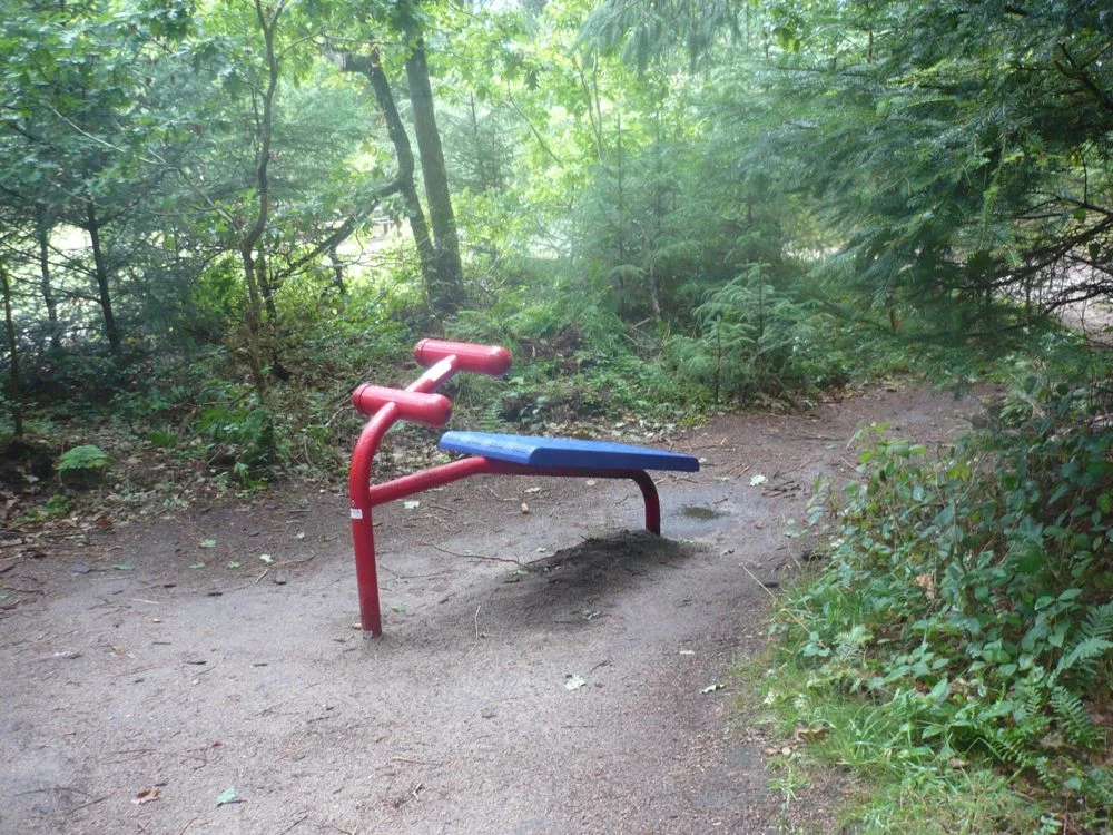 P1050642.jpg