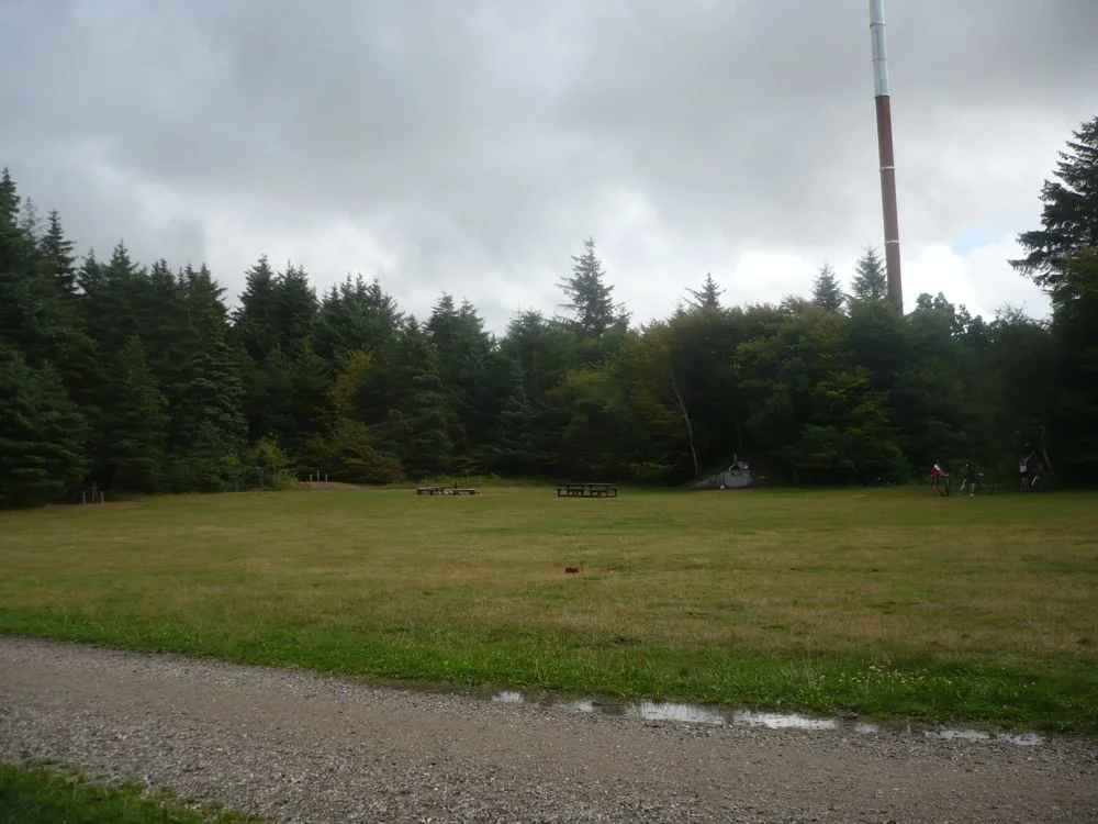 P1050648.jpg