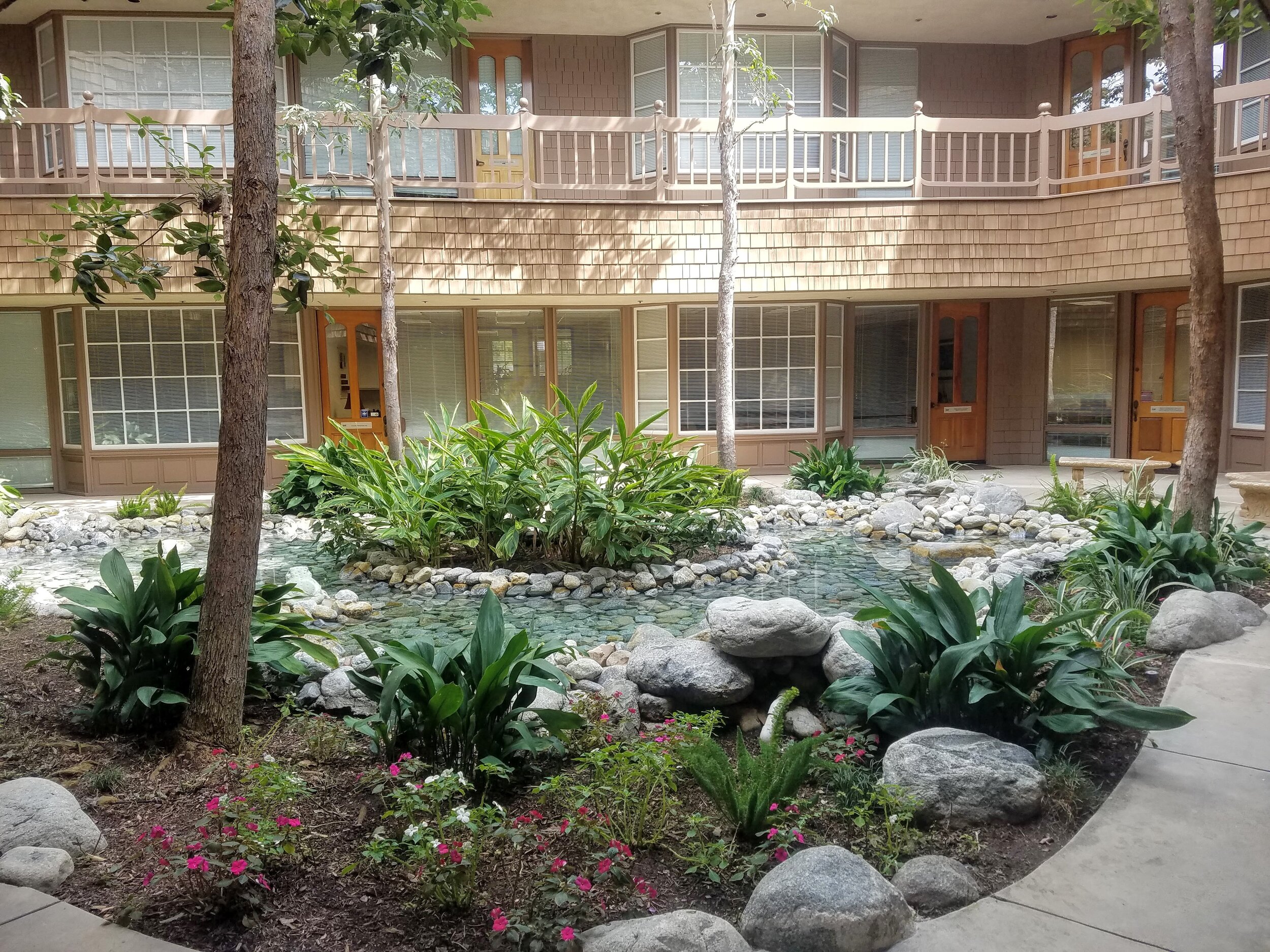 1001 Dove Street Courtyard.jpg