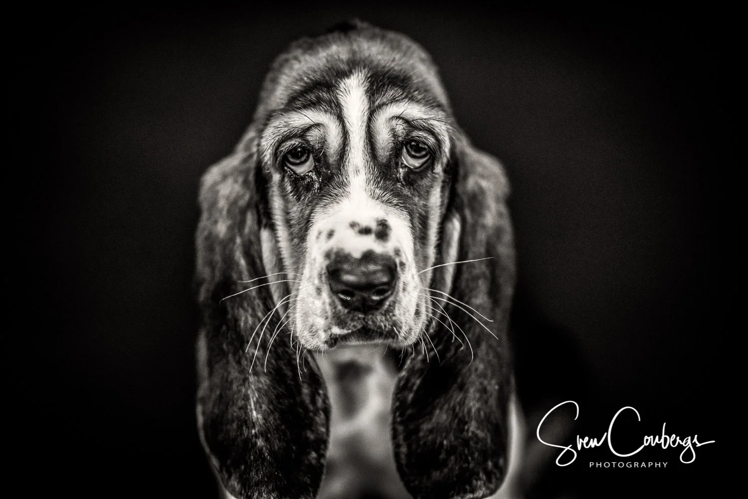 SIR_0222-Edit.jpg