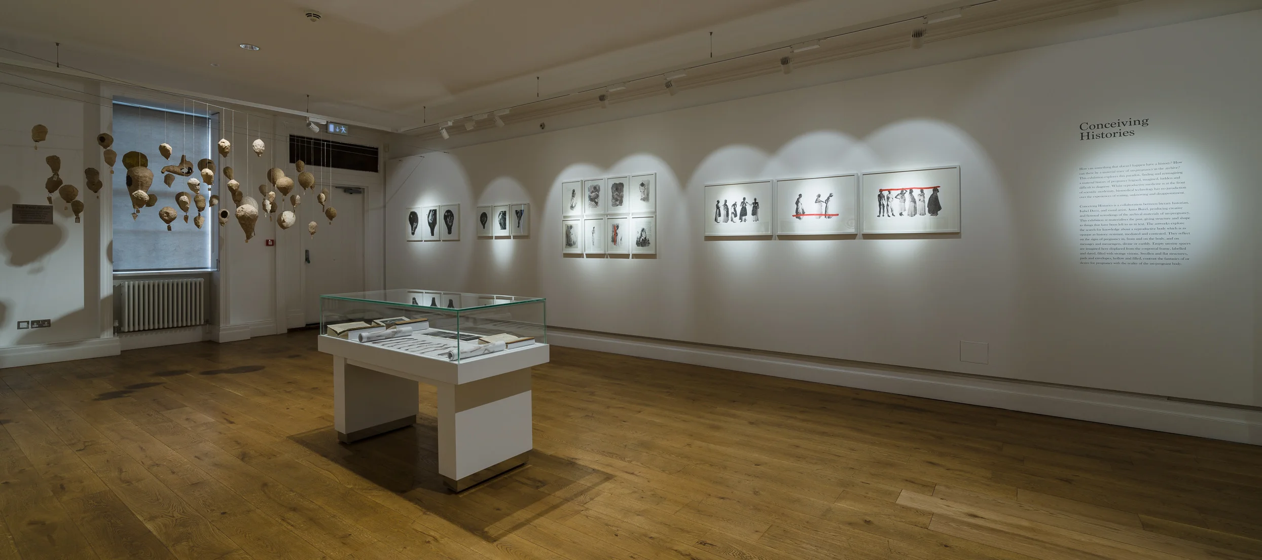 Conceiving Histories exhibition, Peltz Gallery, London, November 2017