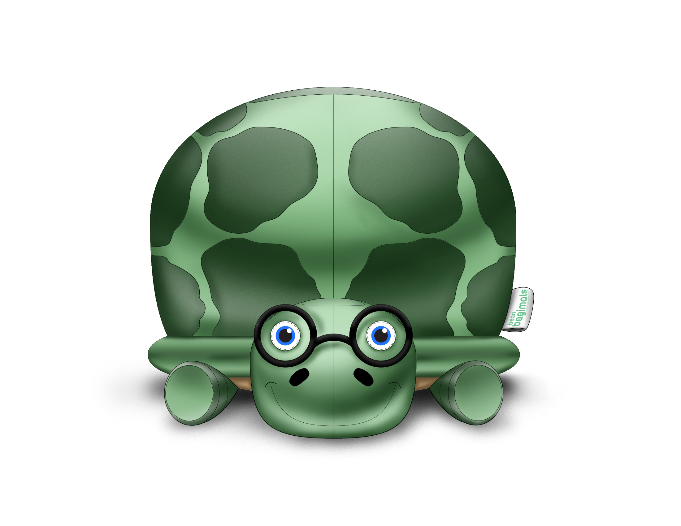 TurtleFront.jpg
