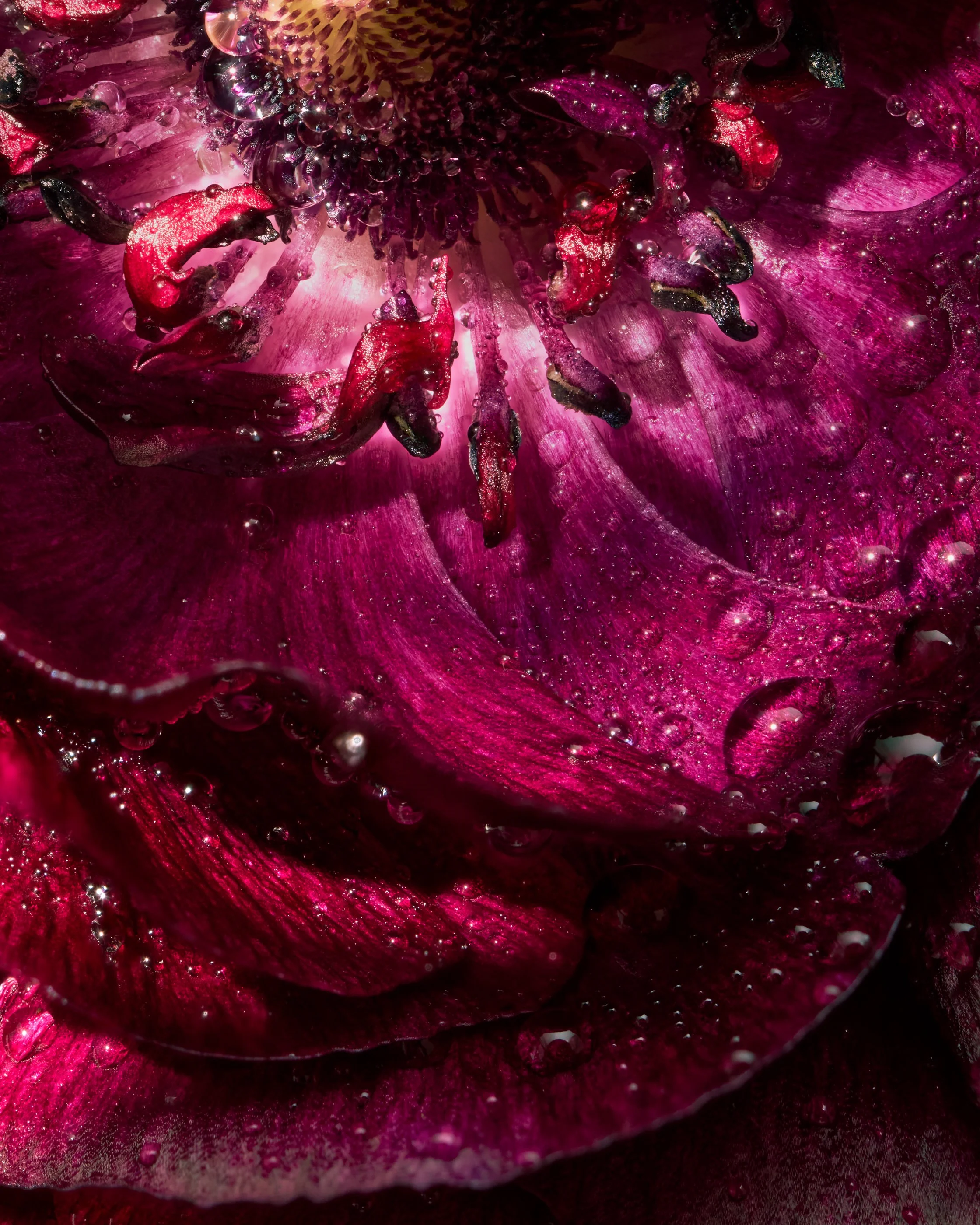 2026-01-26 13-58-10 (C,S4)_1.jpg