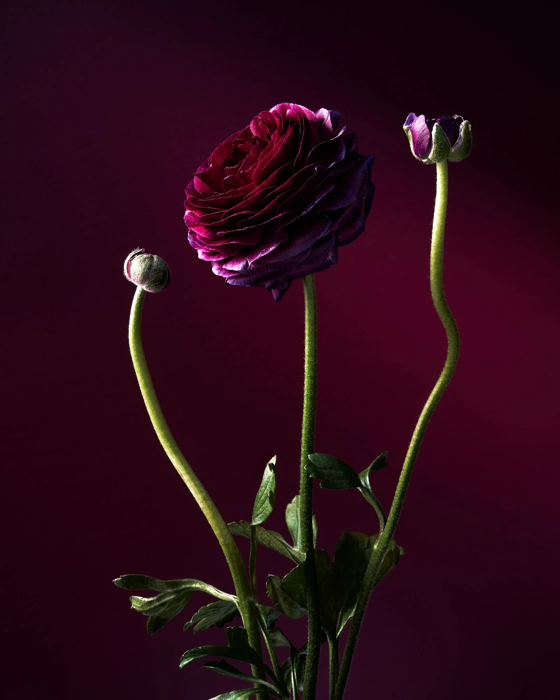 2026-01-25 18-02-51 (B,R8,S4)_1.jpg