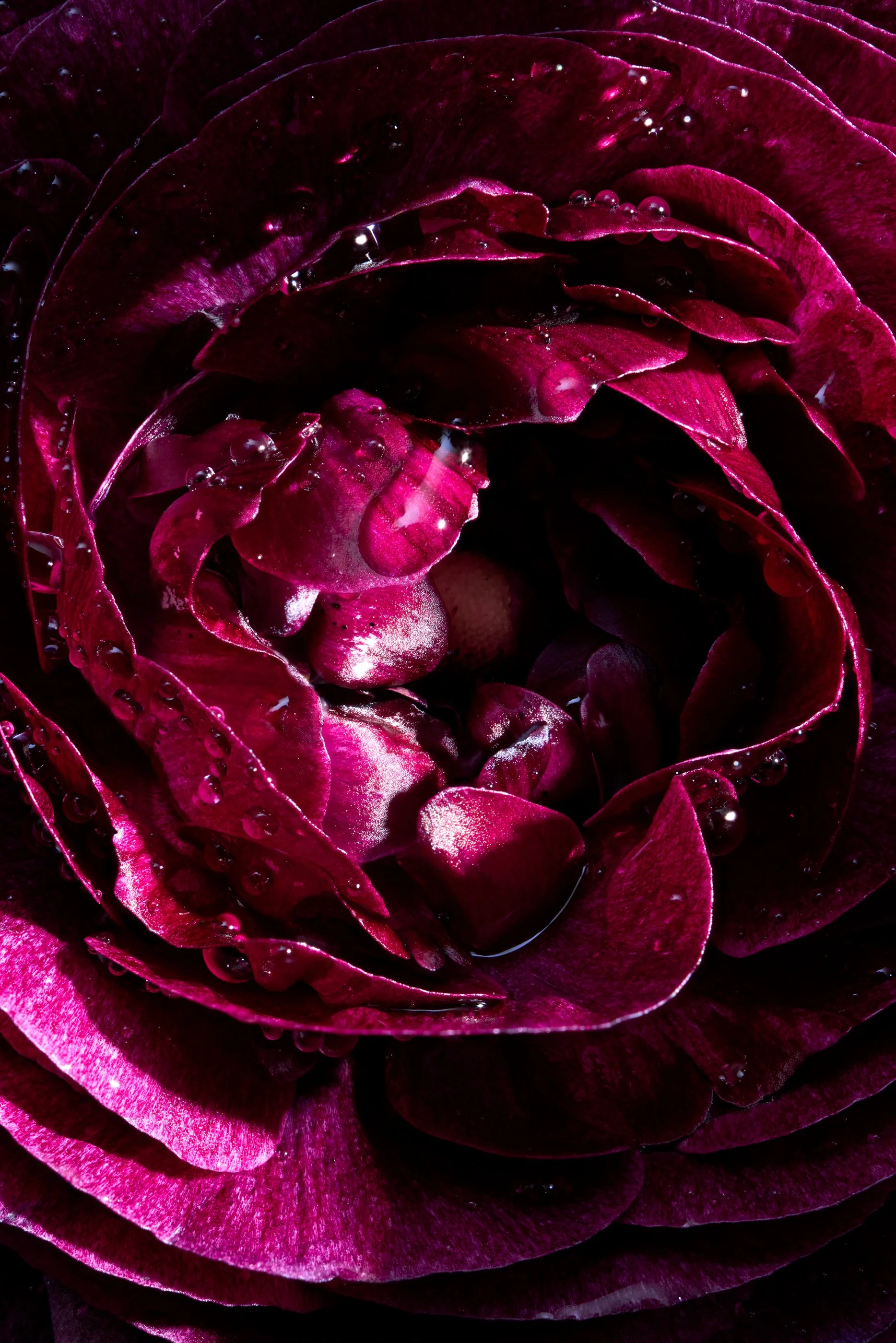 2026-01-25 21-07-24 (B,R8,S4)_1.jpg