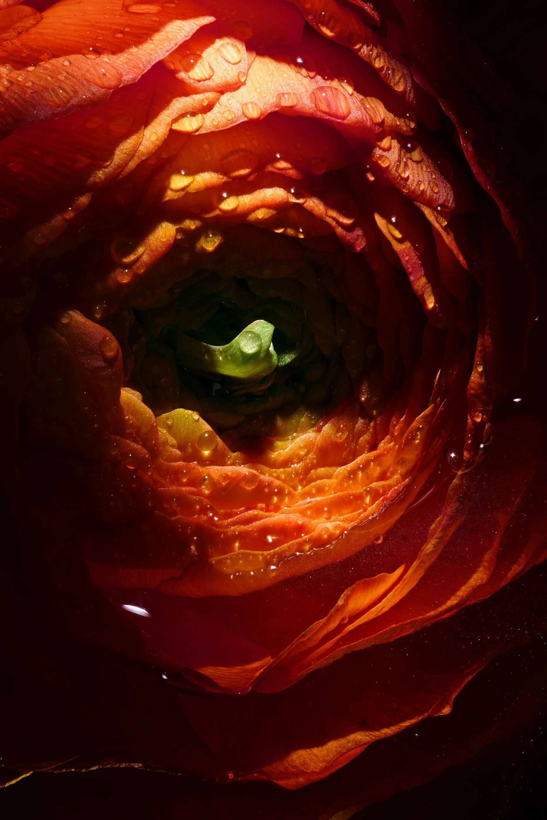 2026-01-28 15-34-47 (B,R8,S4).jpg