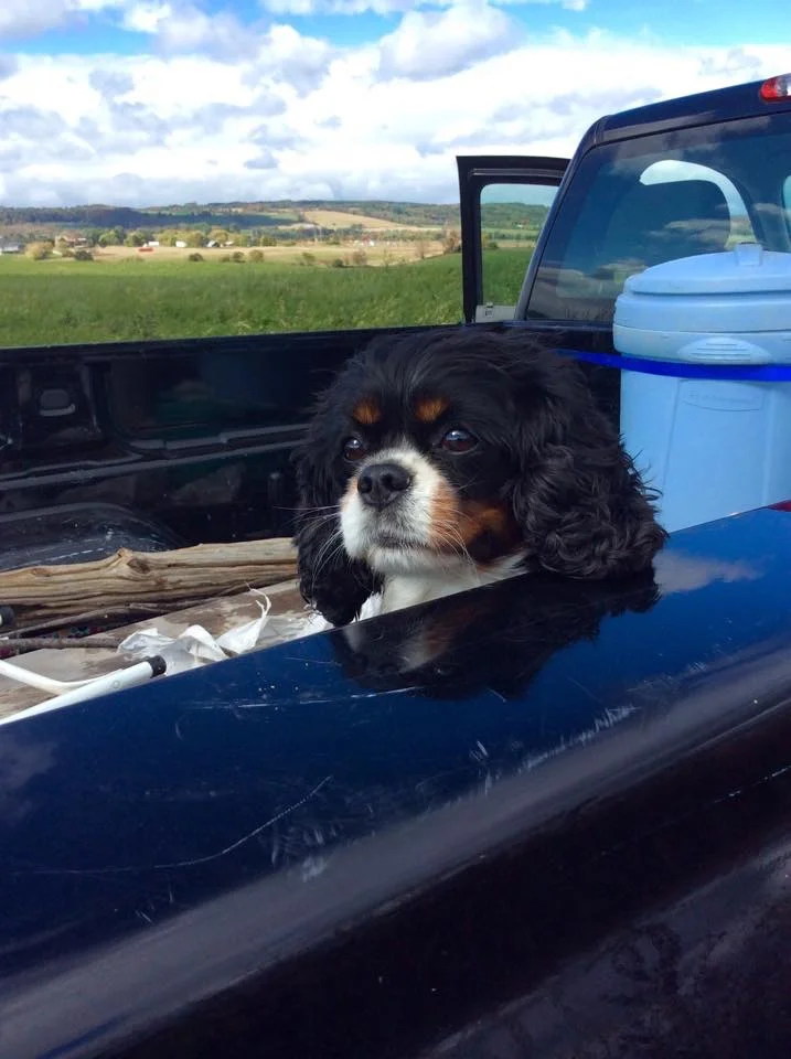 2F12E2A2-2685-4F85-A5C5-A588347A6667 2.JPG