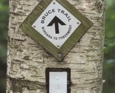 Bruce Trail (Copy) (Copy)
