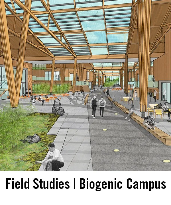 Field Studies | Biogenic Campus