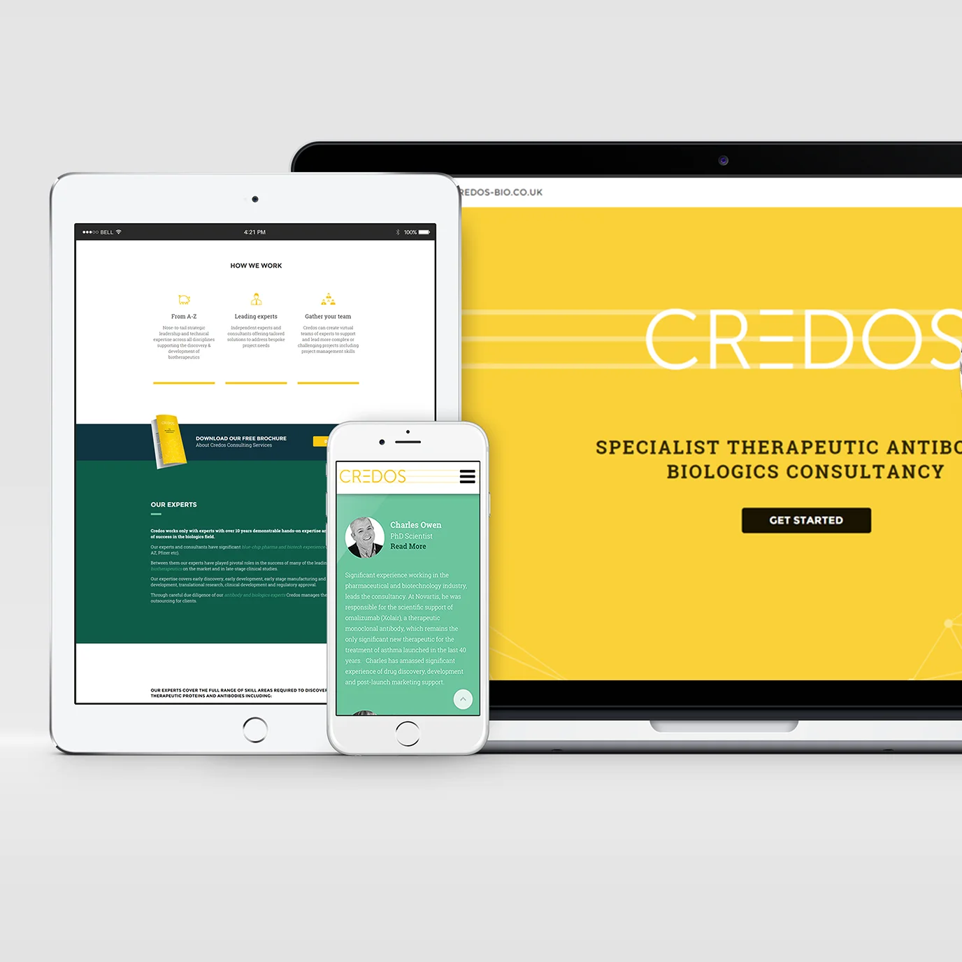 credos-Display.jpg