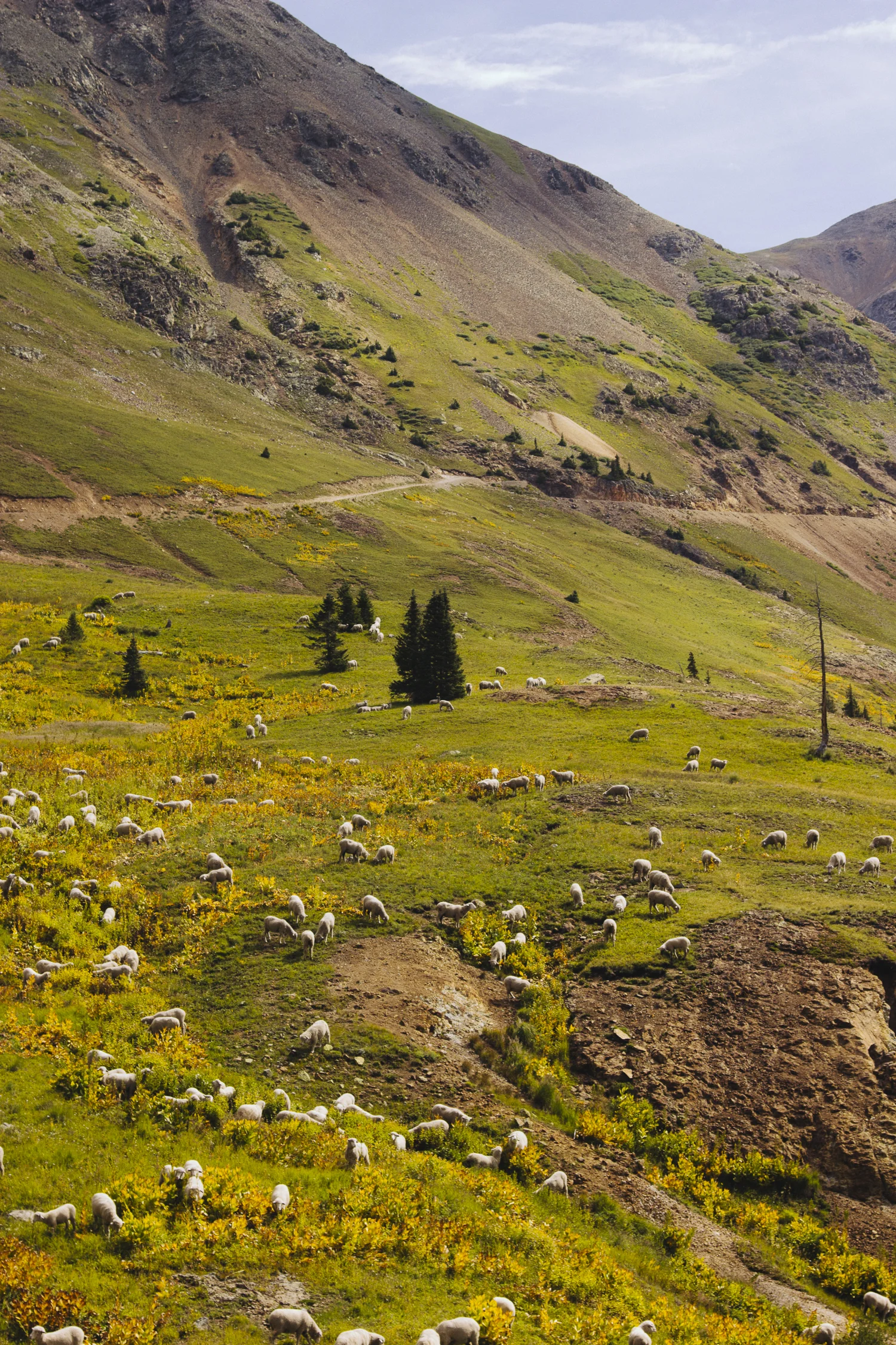 HighCountry-0944.jpg
