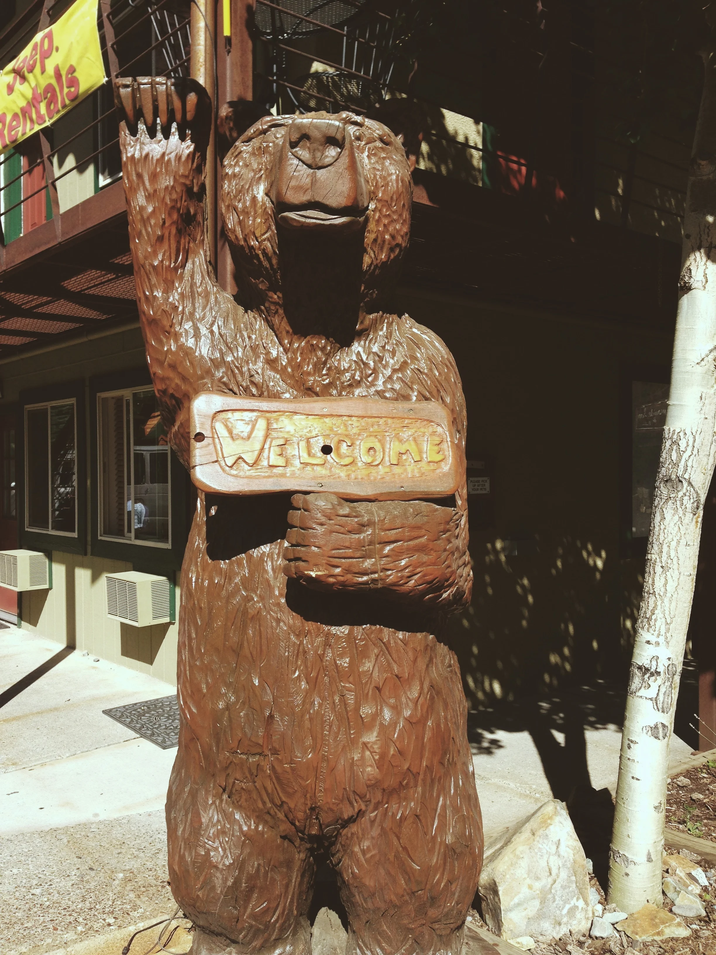 Ouray, CO
