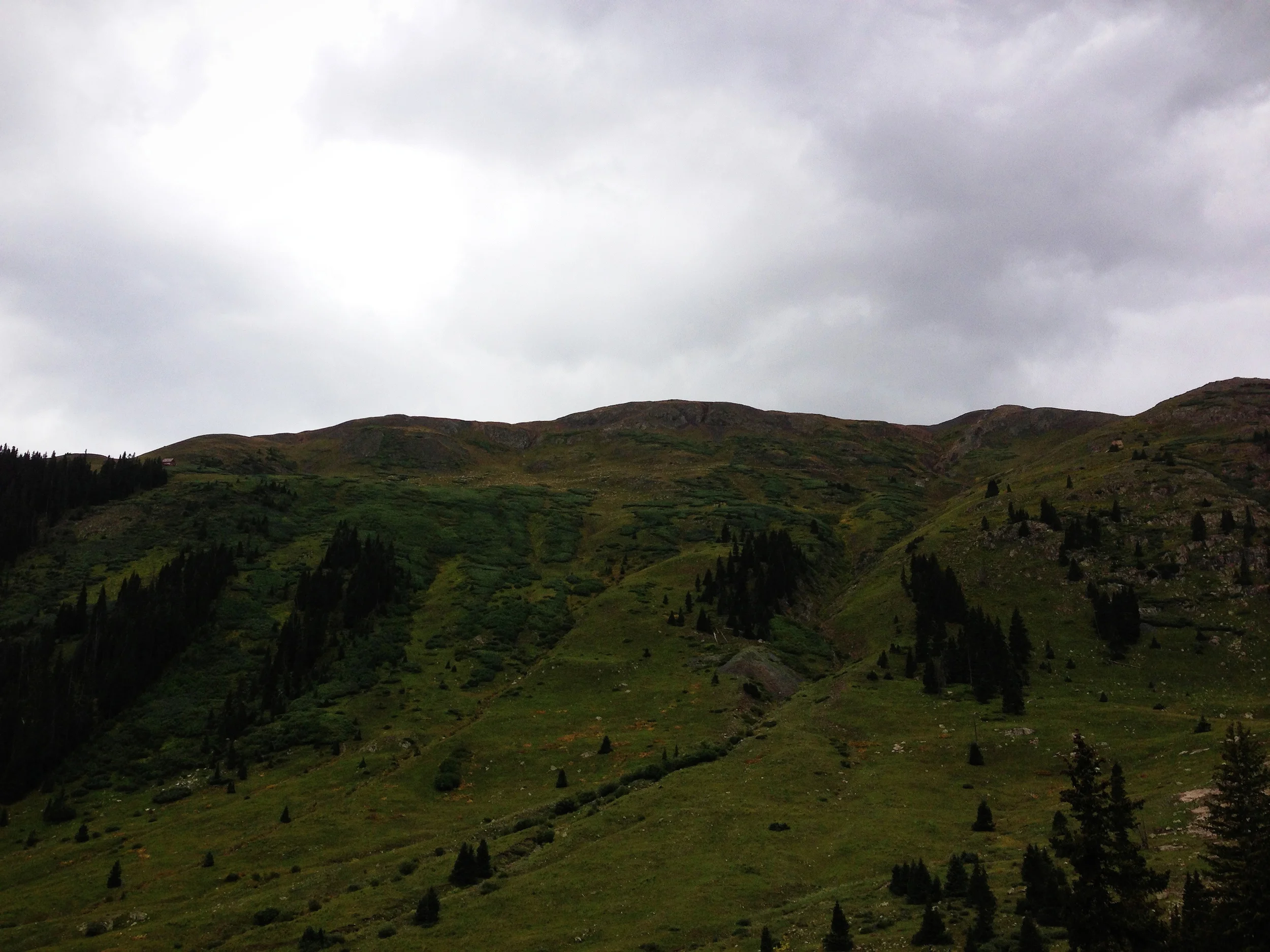 IMG_2005.jpg