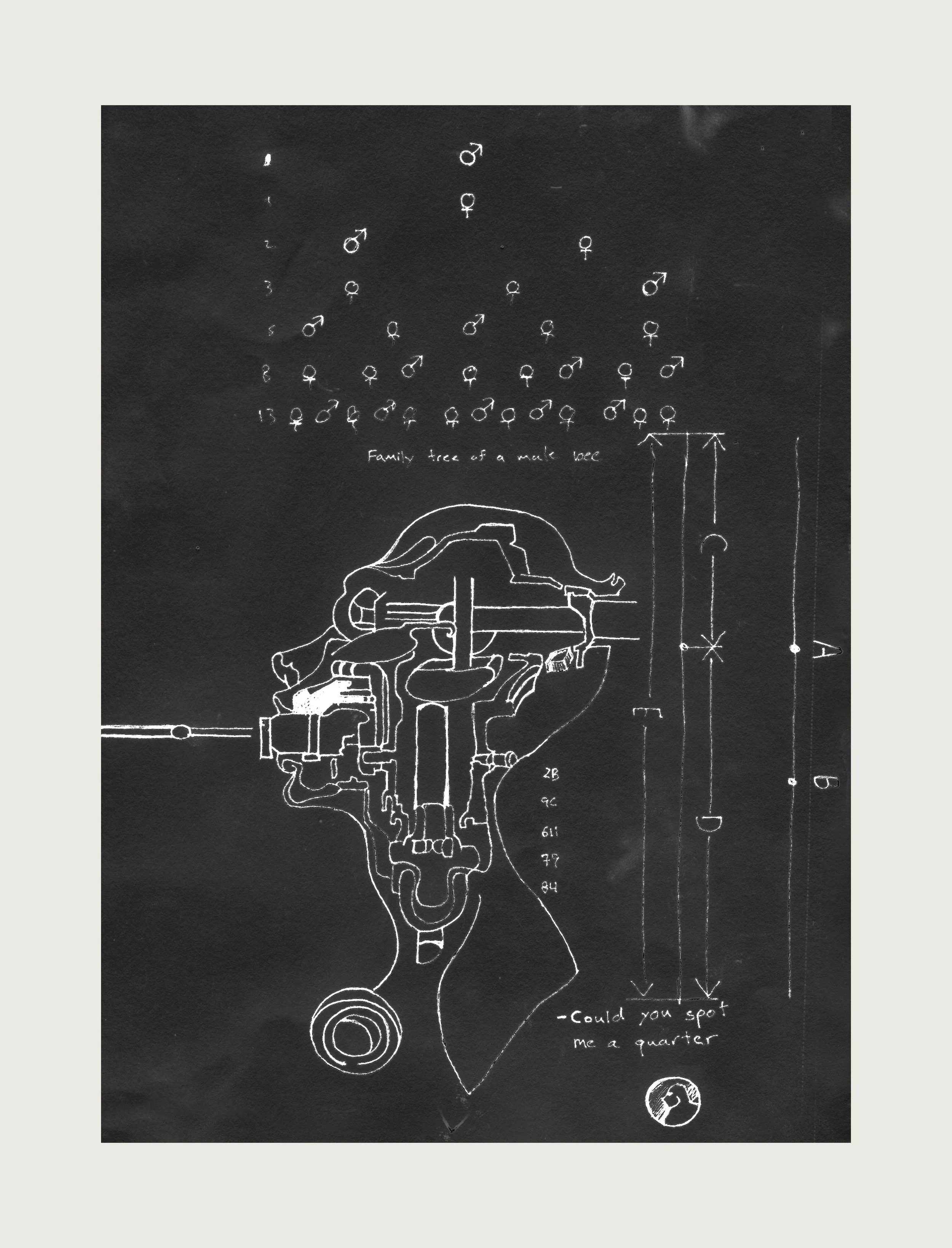 Family Tree Of A Male Bee - 22"x28" Screen Print, 2014