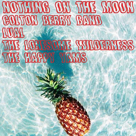 13494995_1052196228196269_5803633746407887019_n copy.jpg