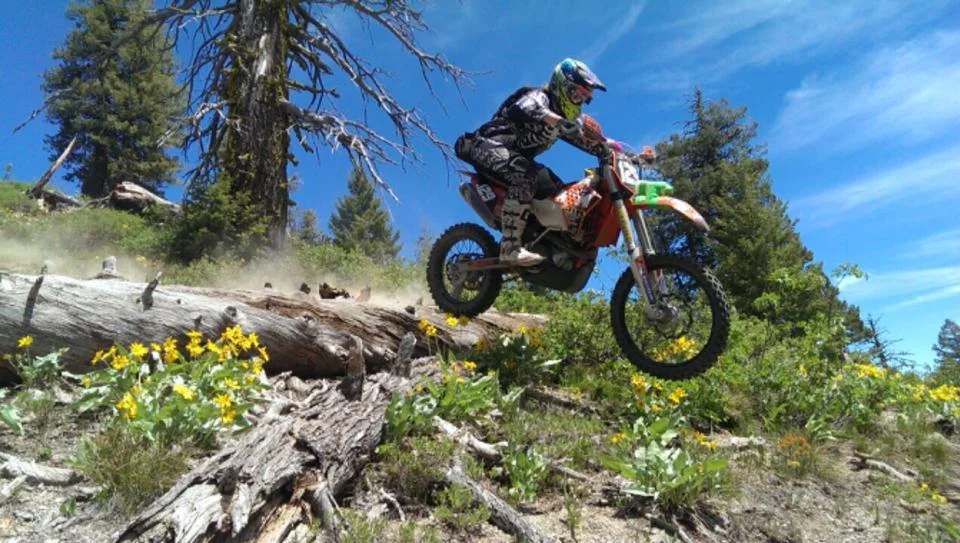 397437_4528190497581_841820670_n.jpg