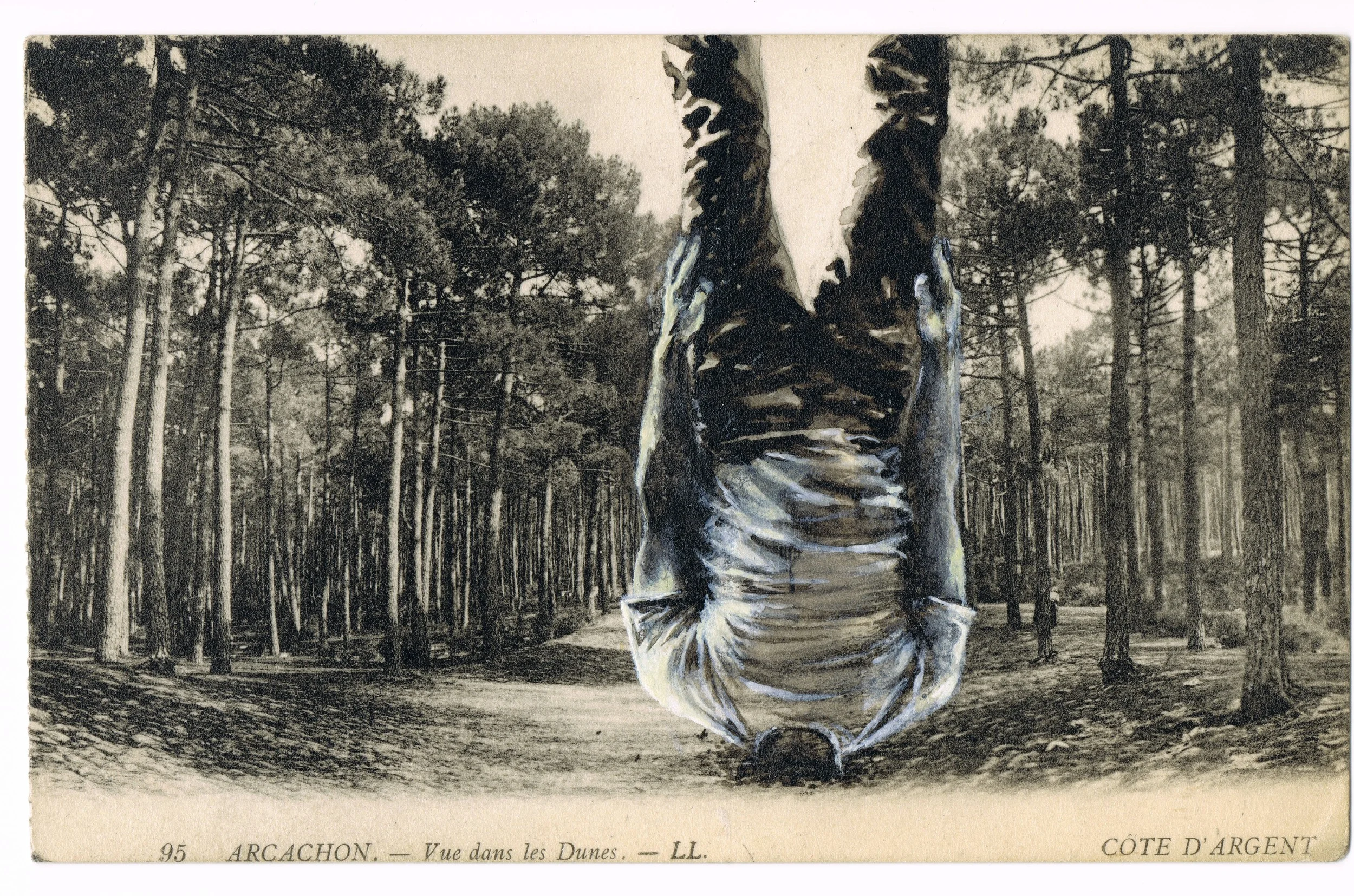 42 vue dans les dunes