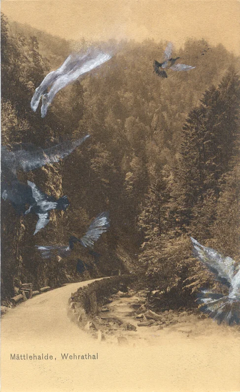 59 Wehrathal 