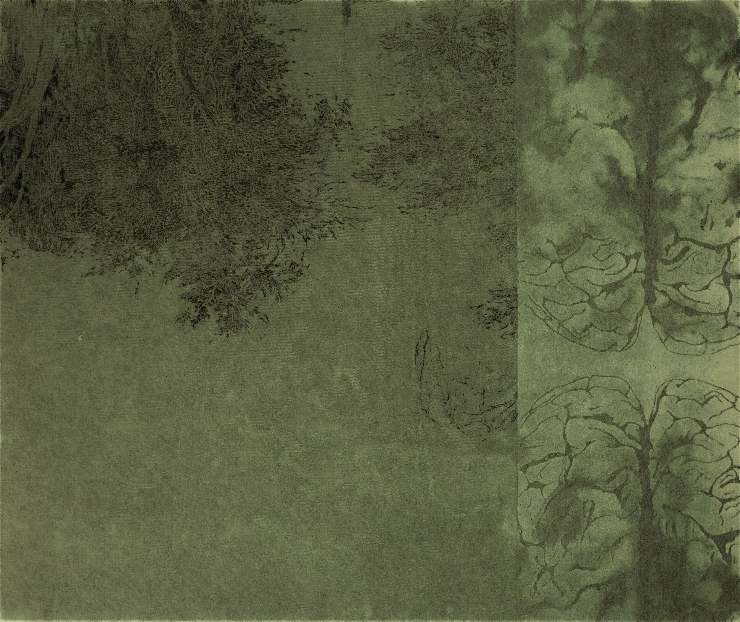 LANDeSCAPE II