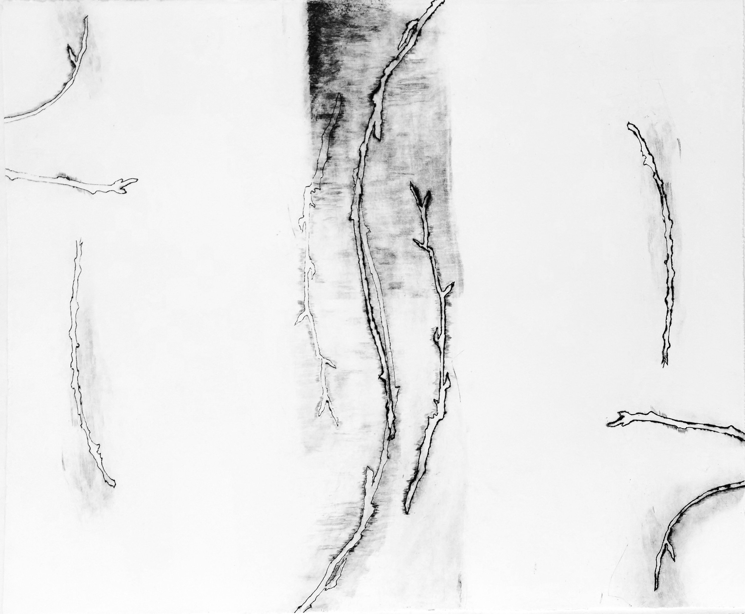 Ballet of Twigs II