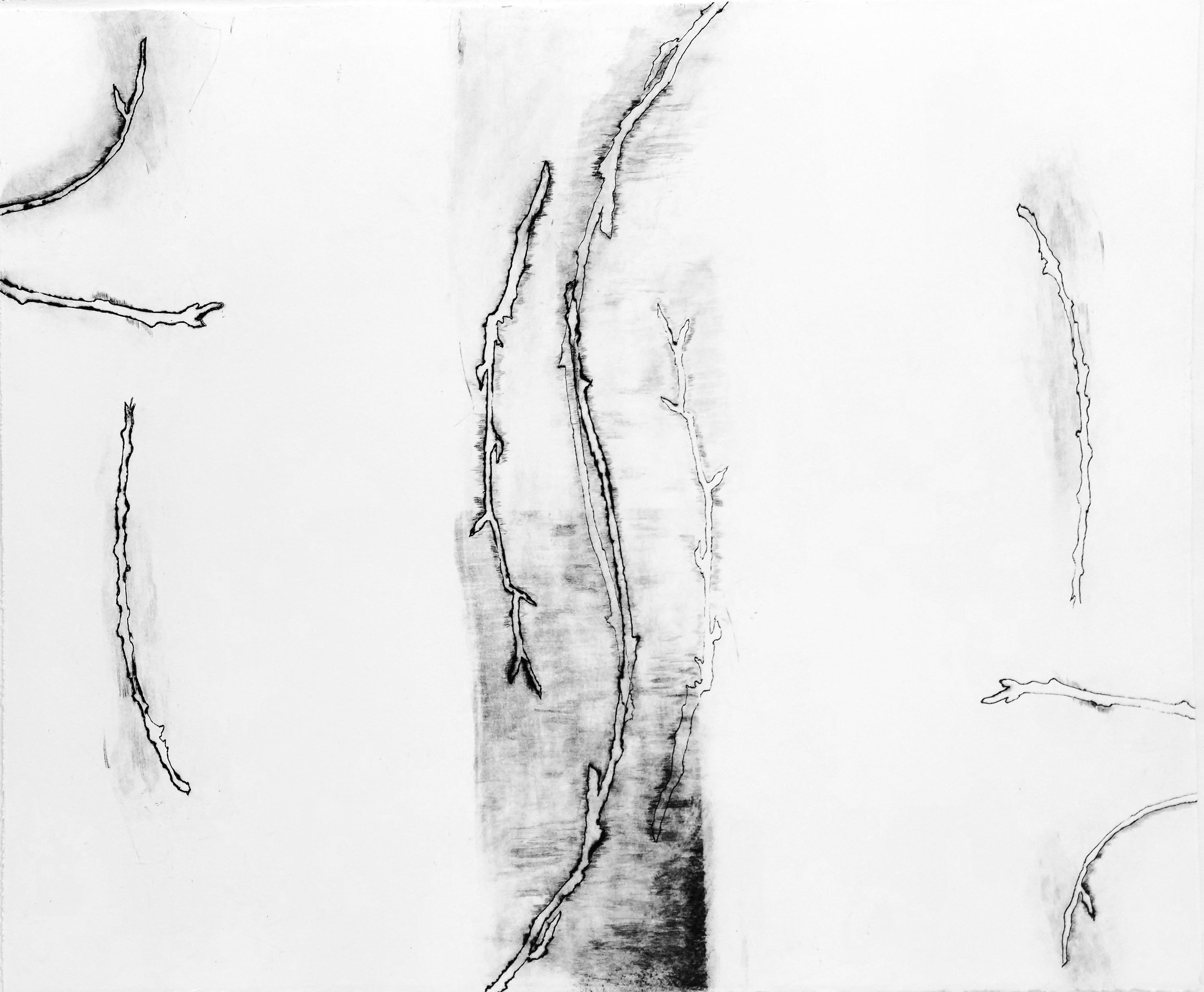 Ballet of Twigs II