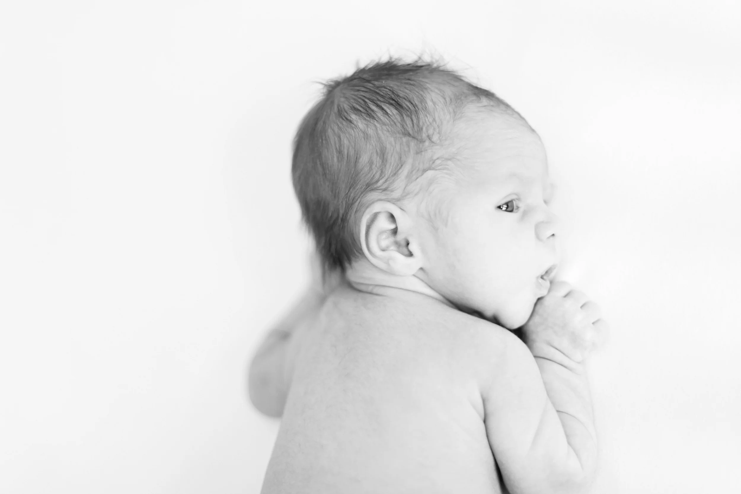 IMG_4048_1 copy.jpg