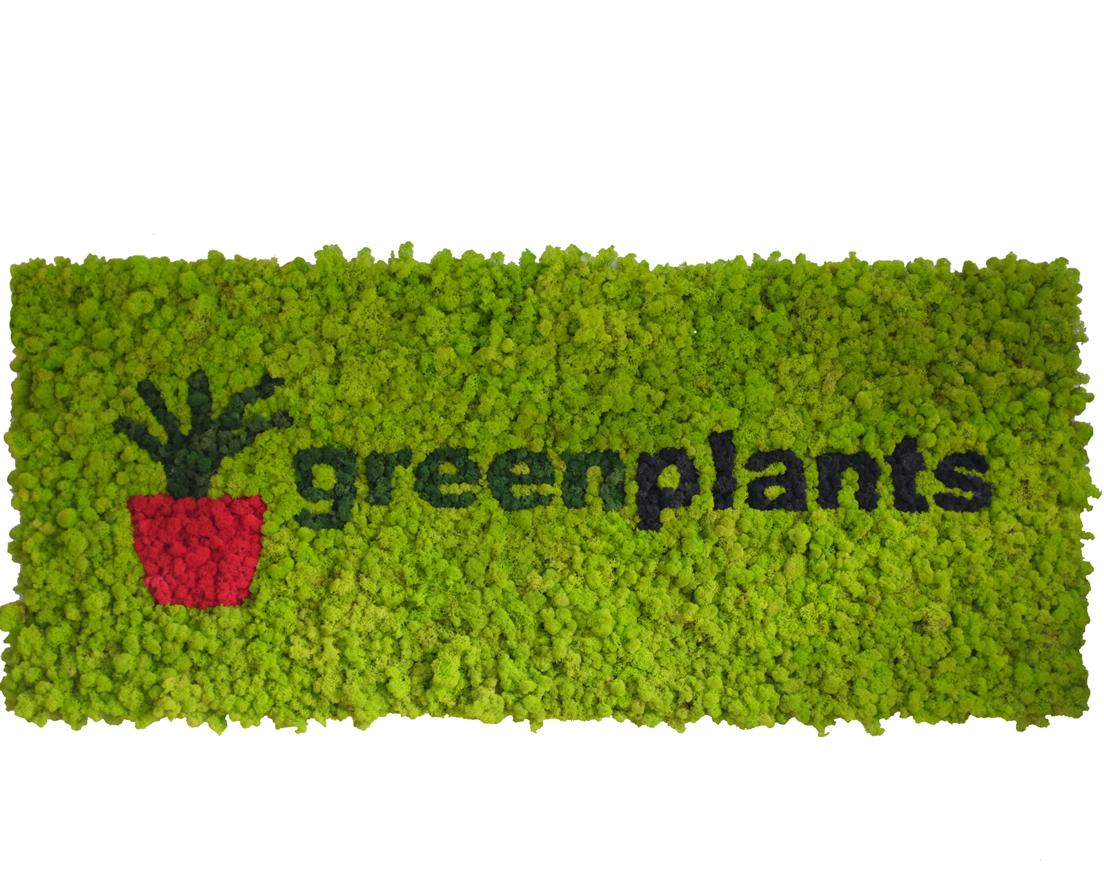 cropped-greenplants-wall1.png