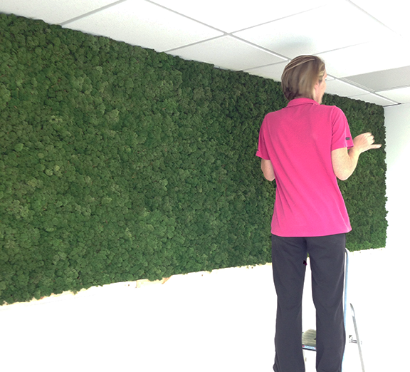 install_moss_wall.png