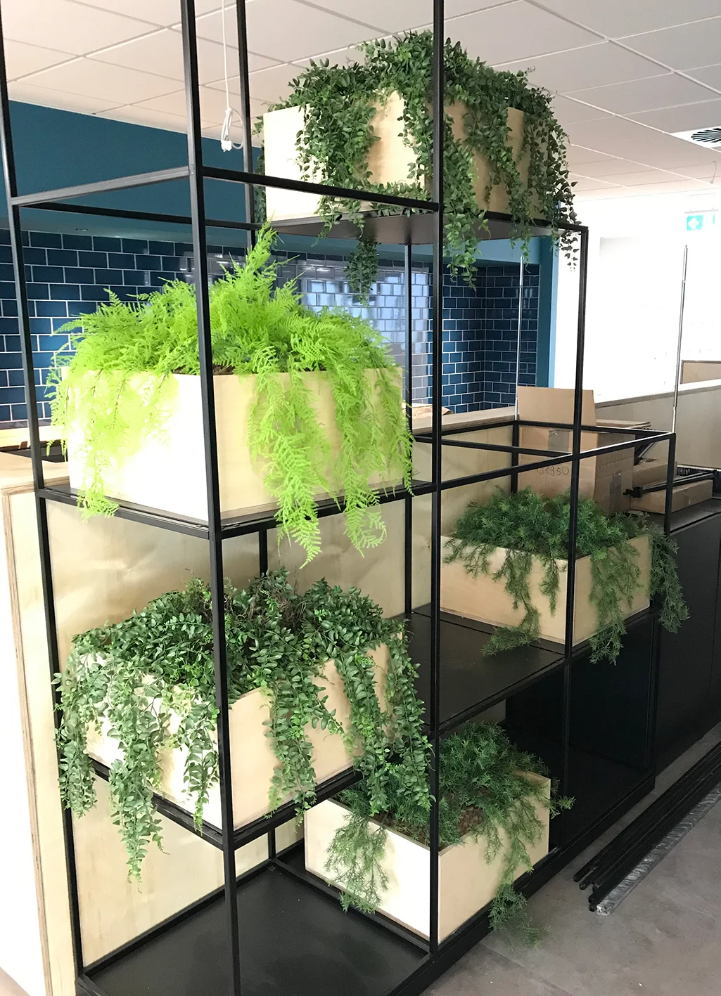 Office plants to buy or rent live and artificial plant displays in Manchester