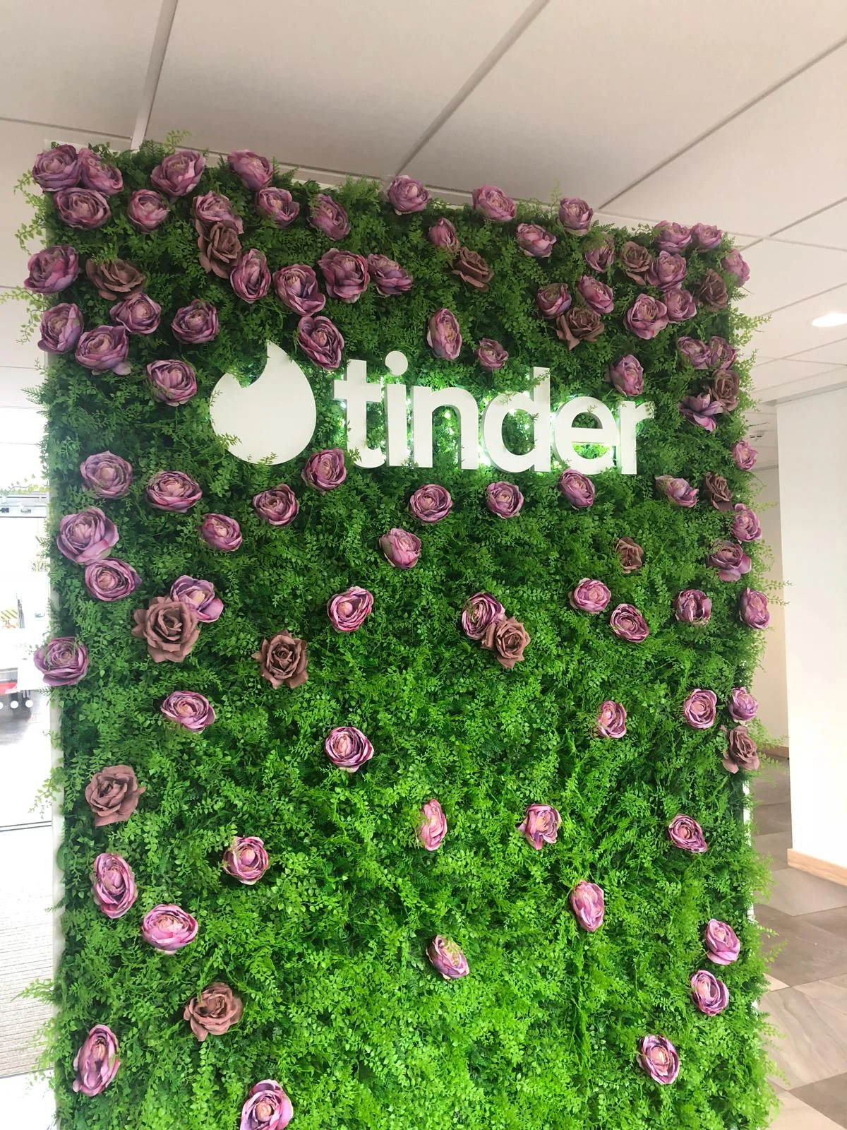 artificial plant walls on Bespoke Designs Of Our Artificial Plant Walls Greenplants Co Uk