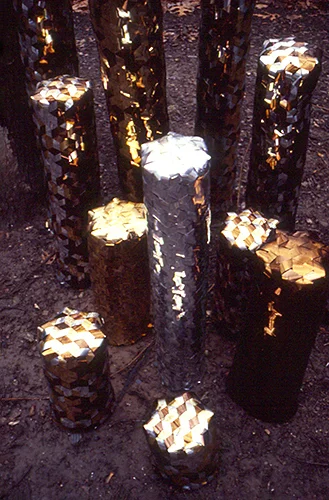 The Plaited Forest detail cc.jpg