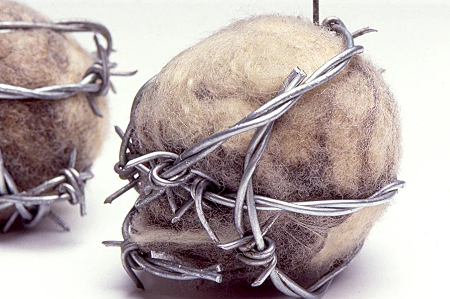 Felt balls with barbed wire_detail cc.jpg