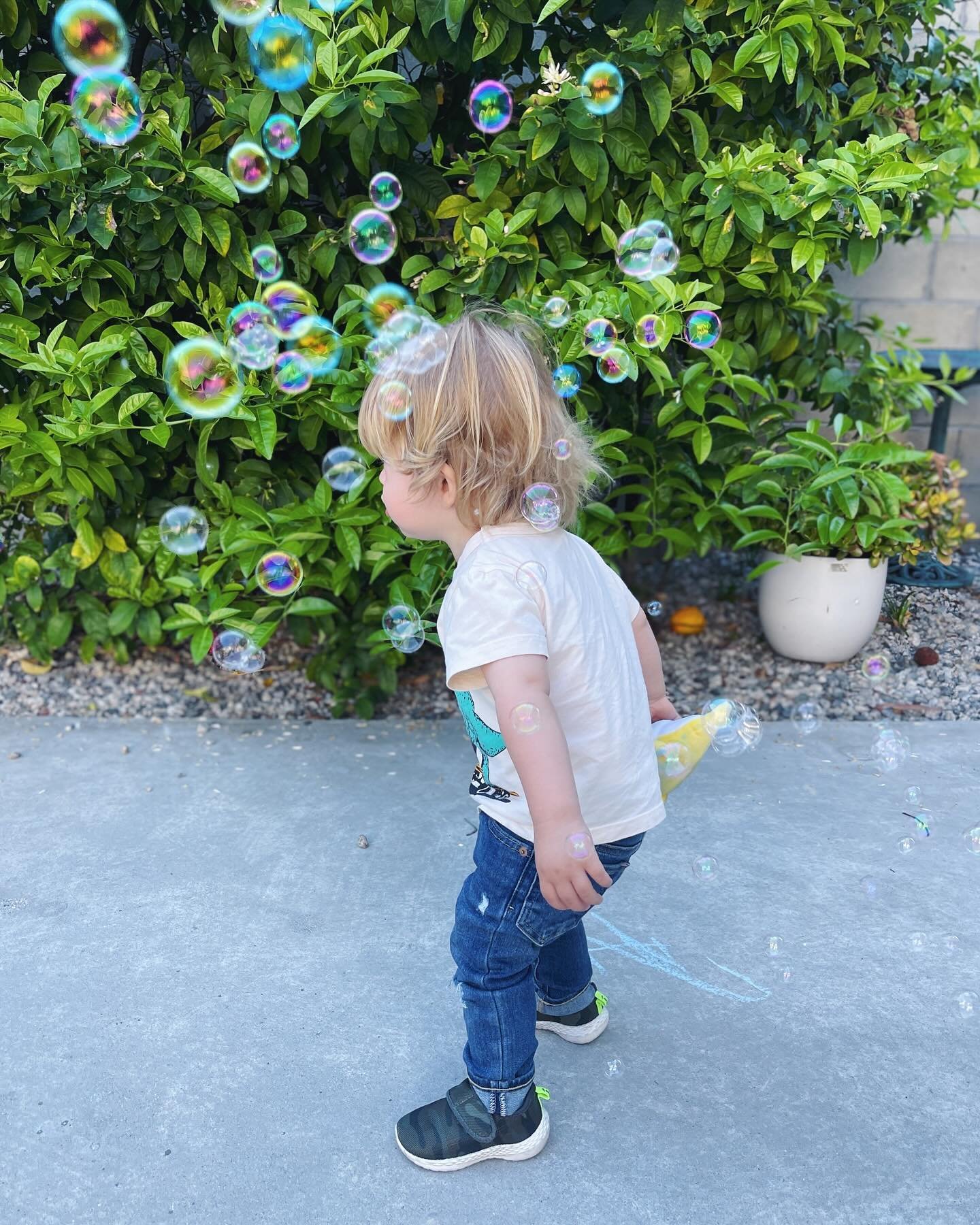 parenting tip: get a bubble gun at the dollar store 🫧🤭 #toddlermom #toddlers #toddleractivities #LaurenIRL