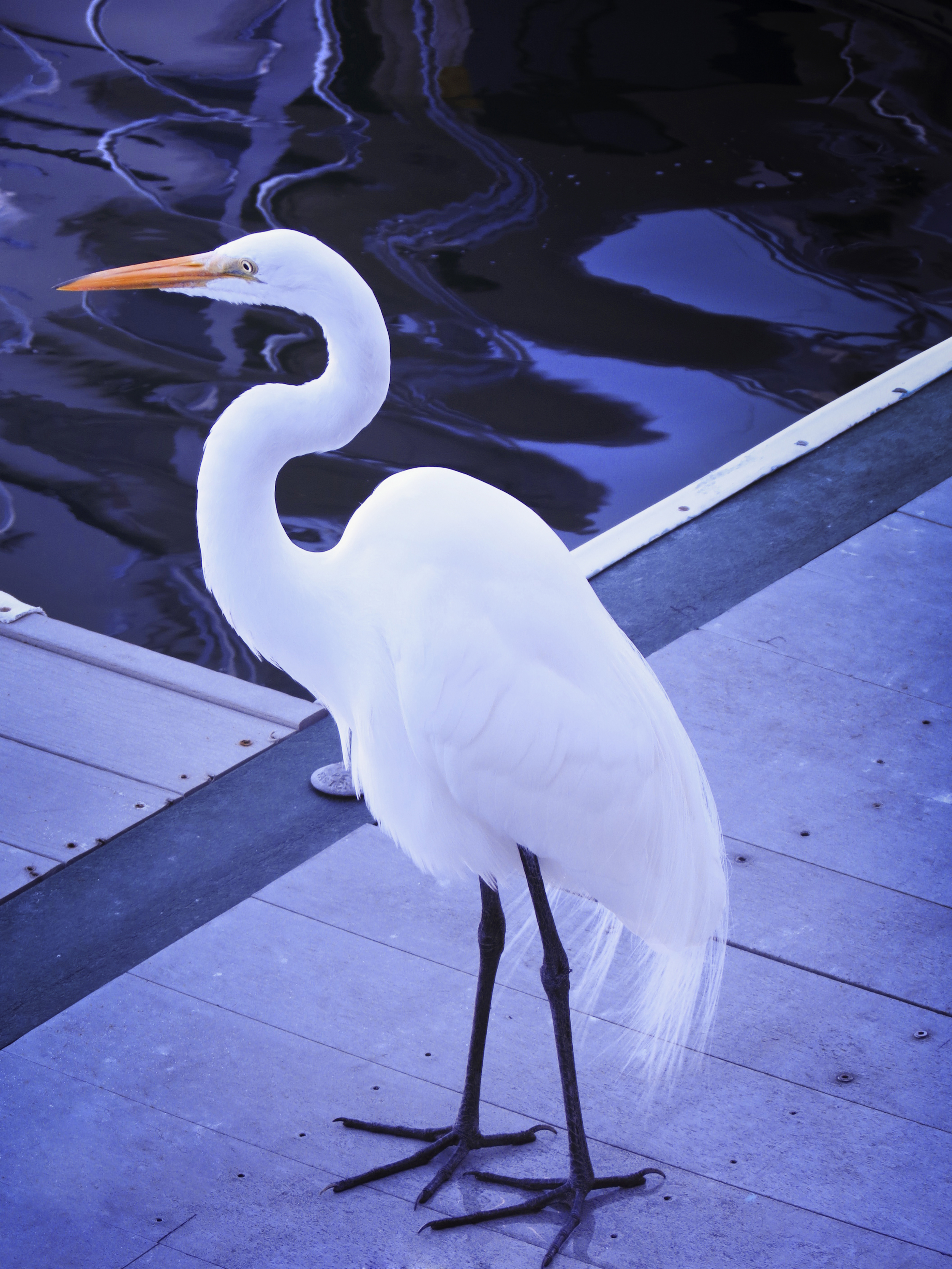 NE_Wildlife_146.jpg