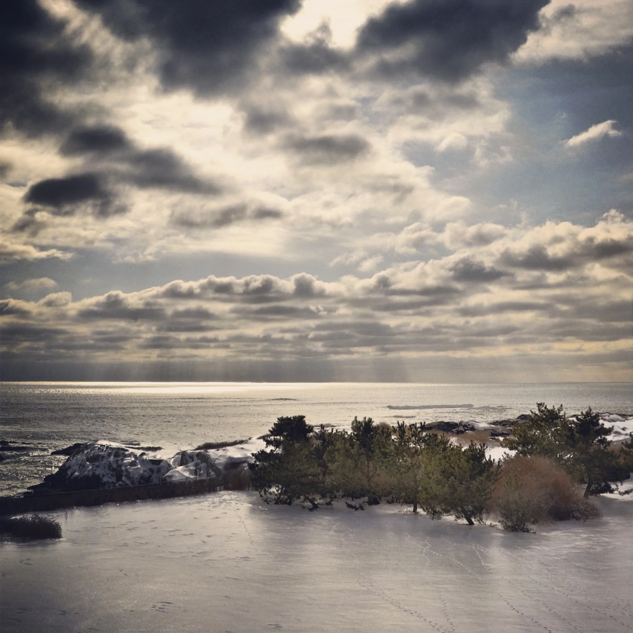 Newport