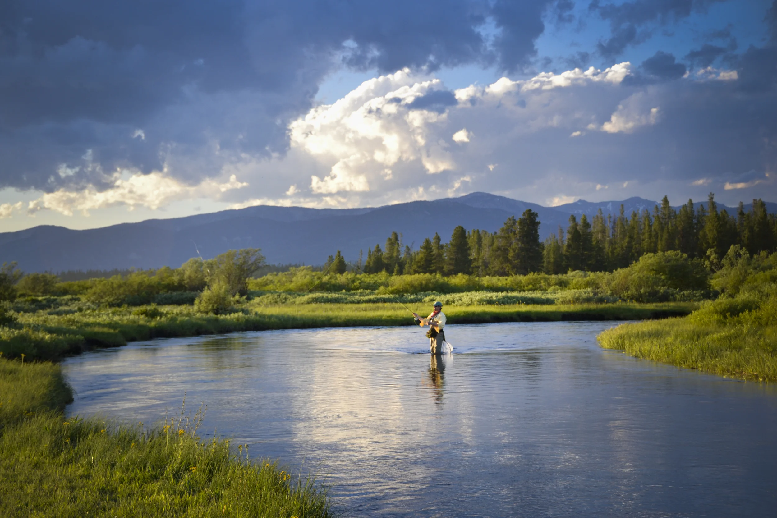 Idaho