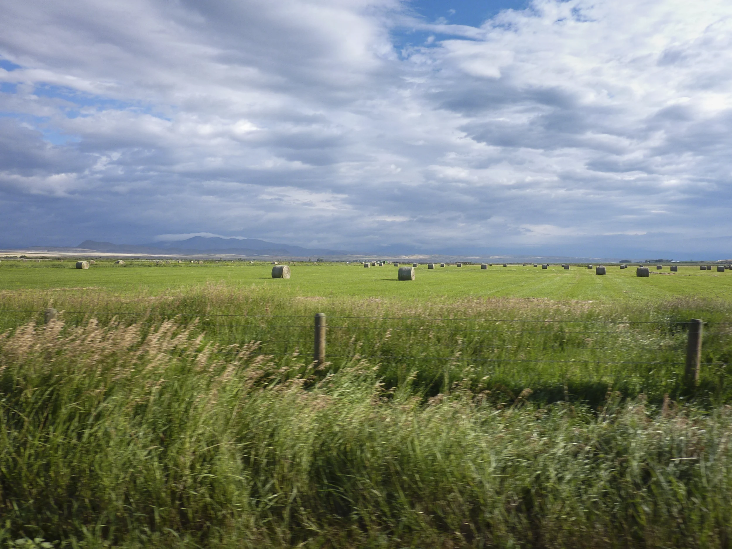 Montana