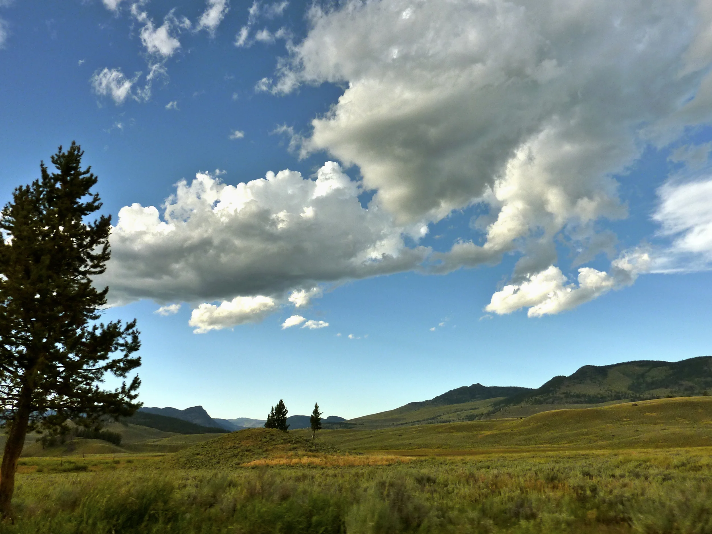 Yellowstone