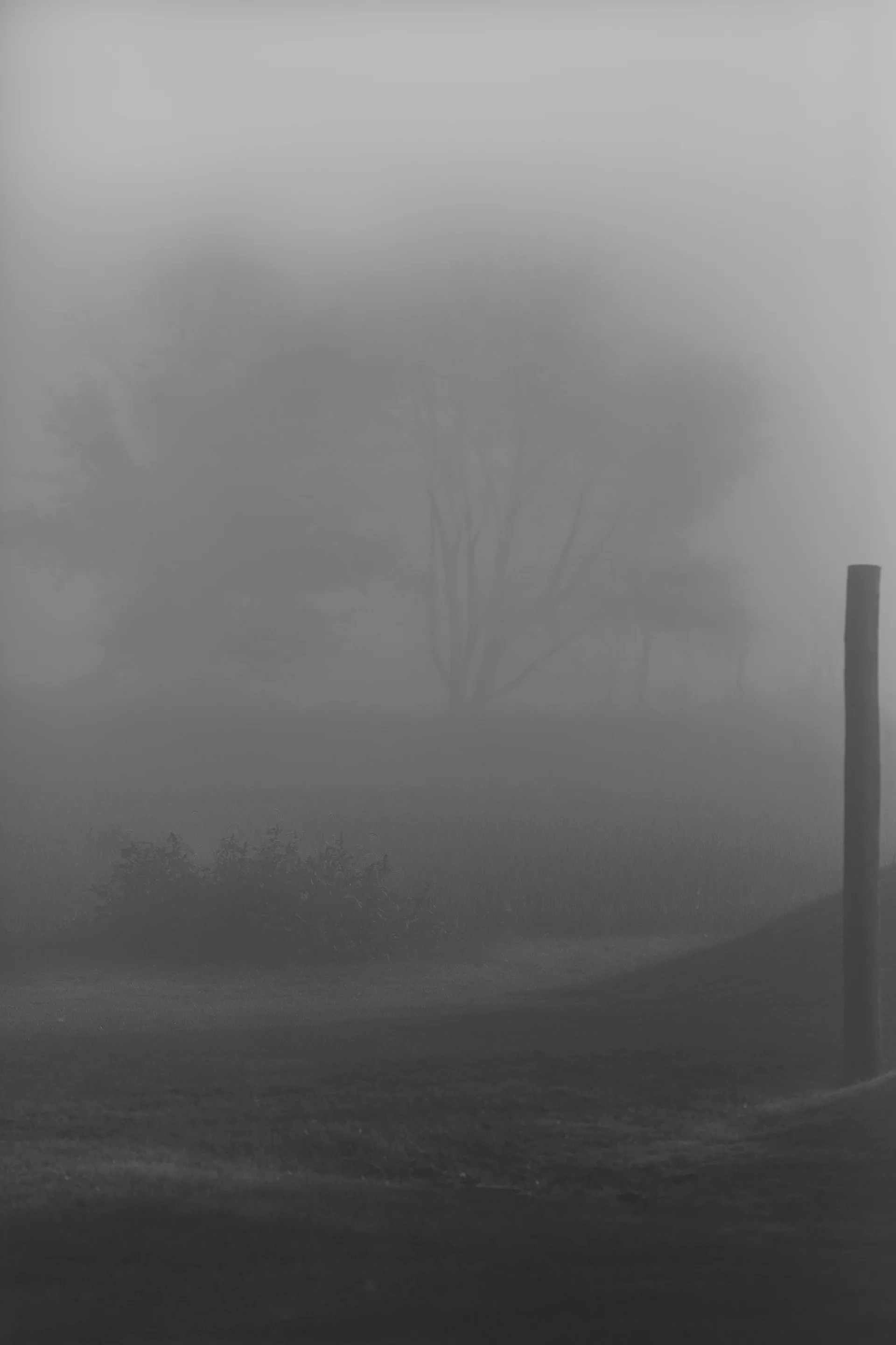 _Y1A6327-Edit.jpg