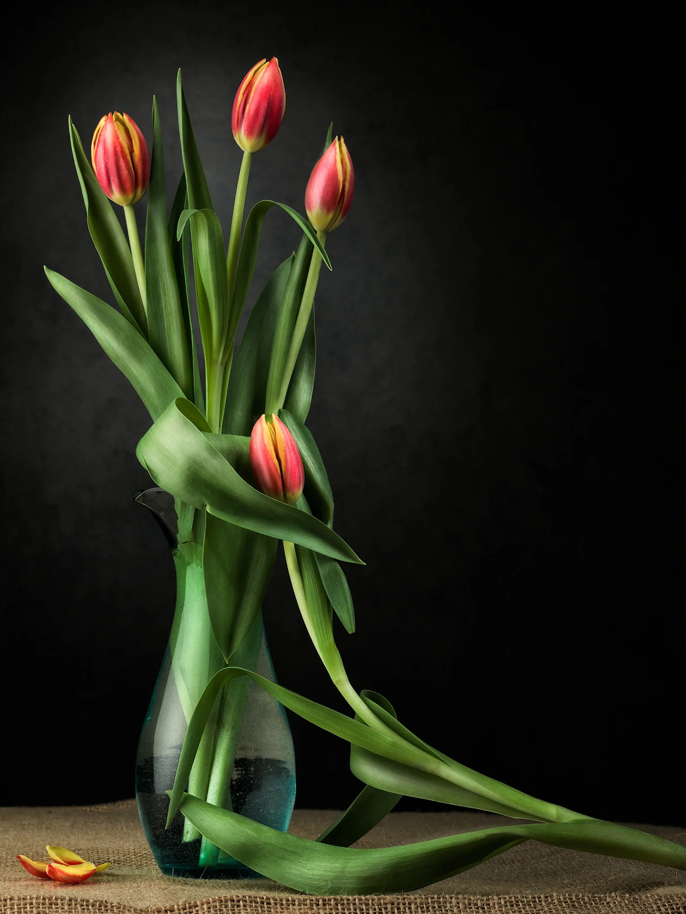 B0001952-Edit.jpg