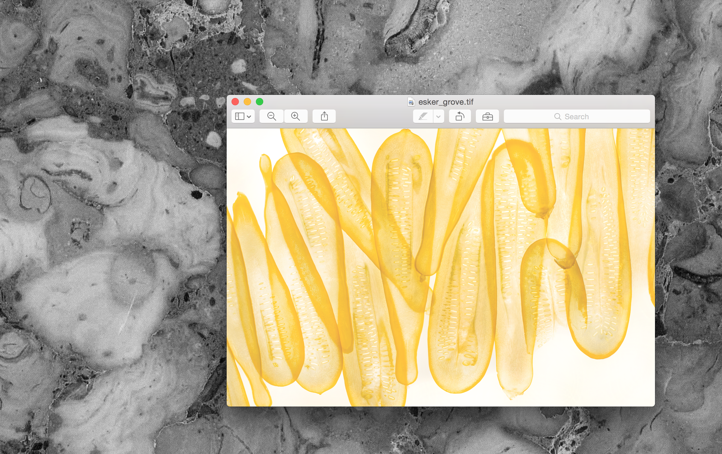 Screen Shot 2016-11-17 at 4.47.39 PM.png