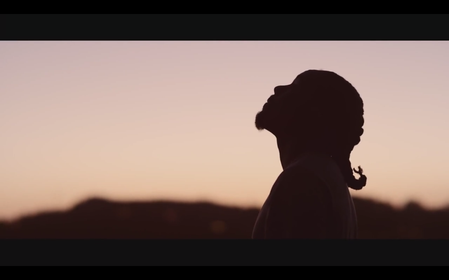 Wale | "The Followers"