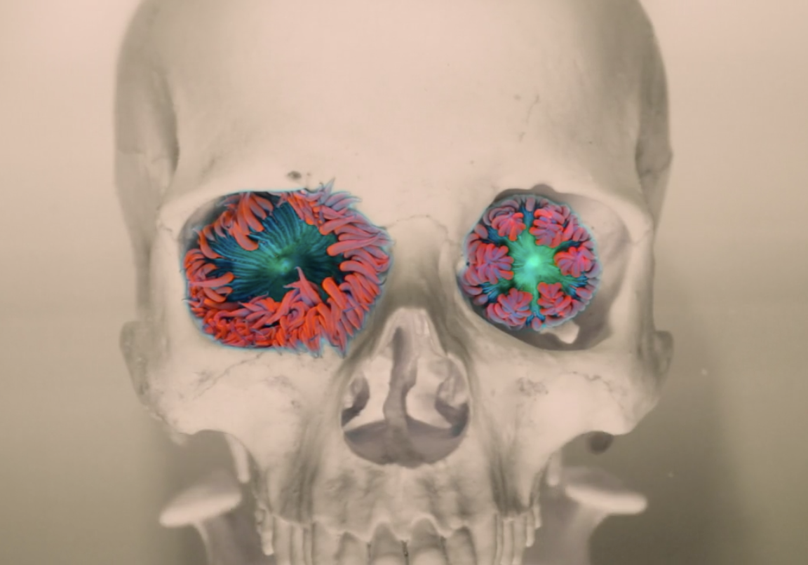 Screen Shot 2017-02-03 at 9.06.35 AM.png