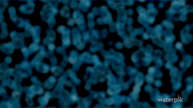 Motion Graphics