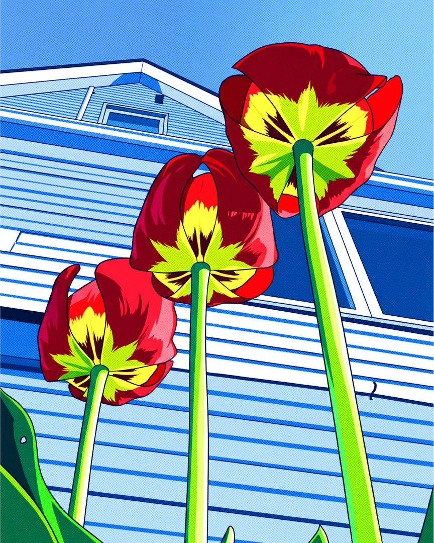 8x10_Tulips_sm.png