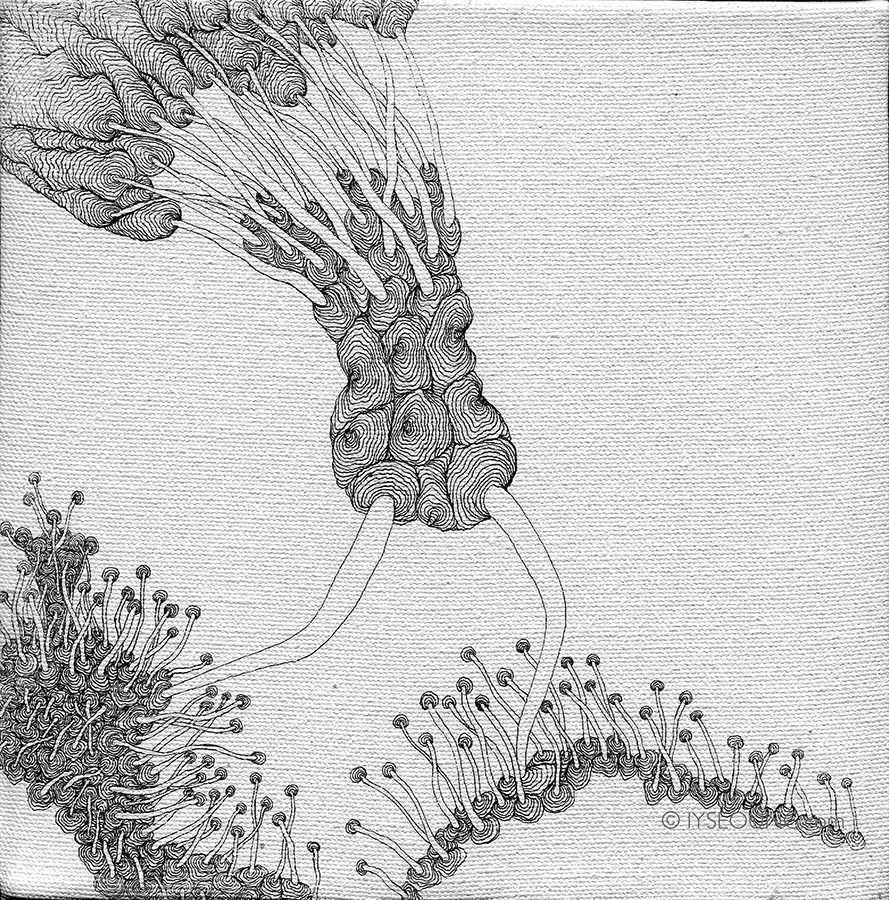 s01-8x8-2.jpg