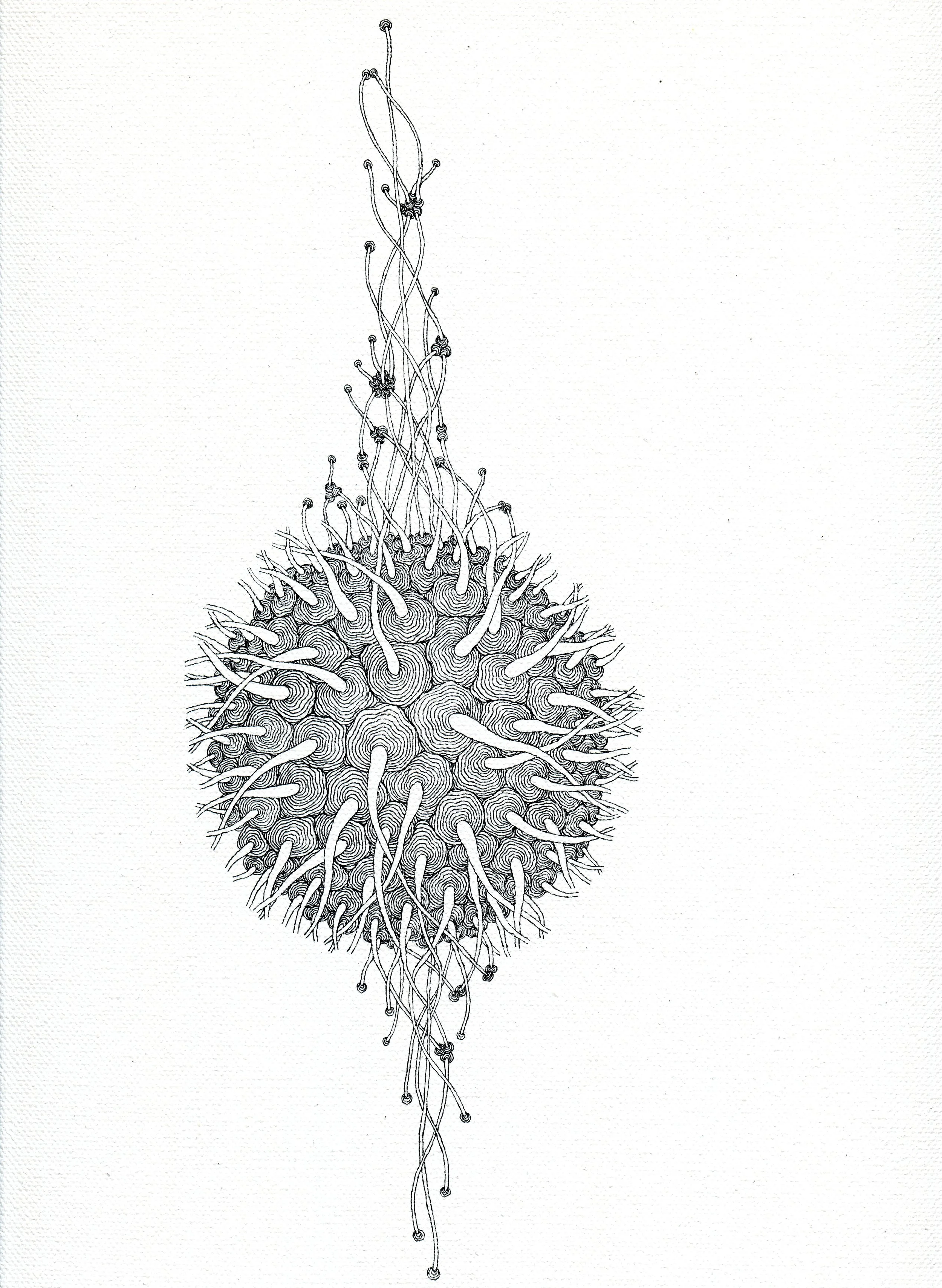 img009.jpg