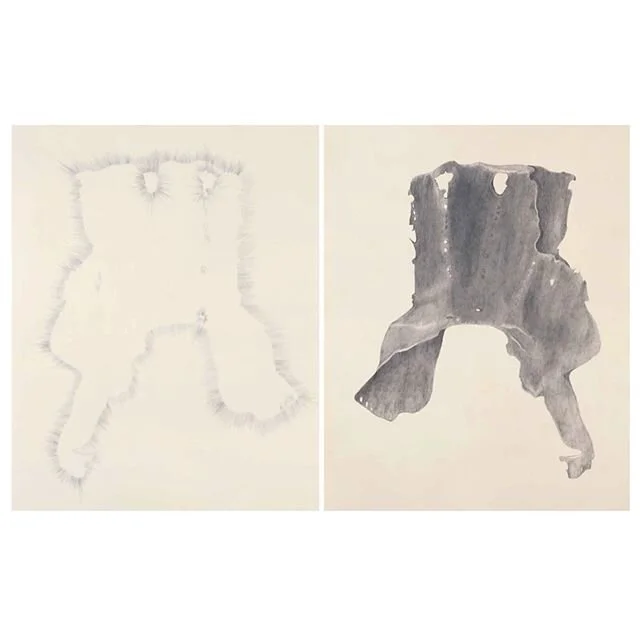 #trishadonnelly #kellybaum #drawing #continuedresearch