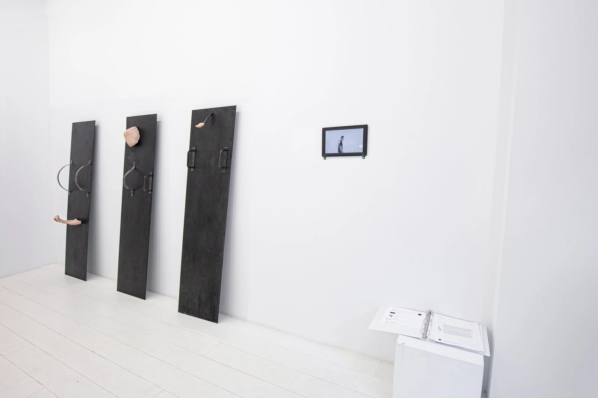 ORGANON curated by Banyi Huang at Assembly Room Installation Photos