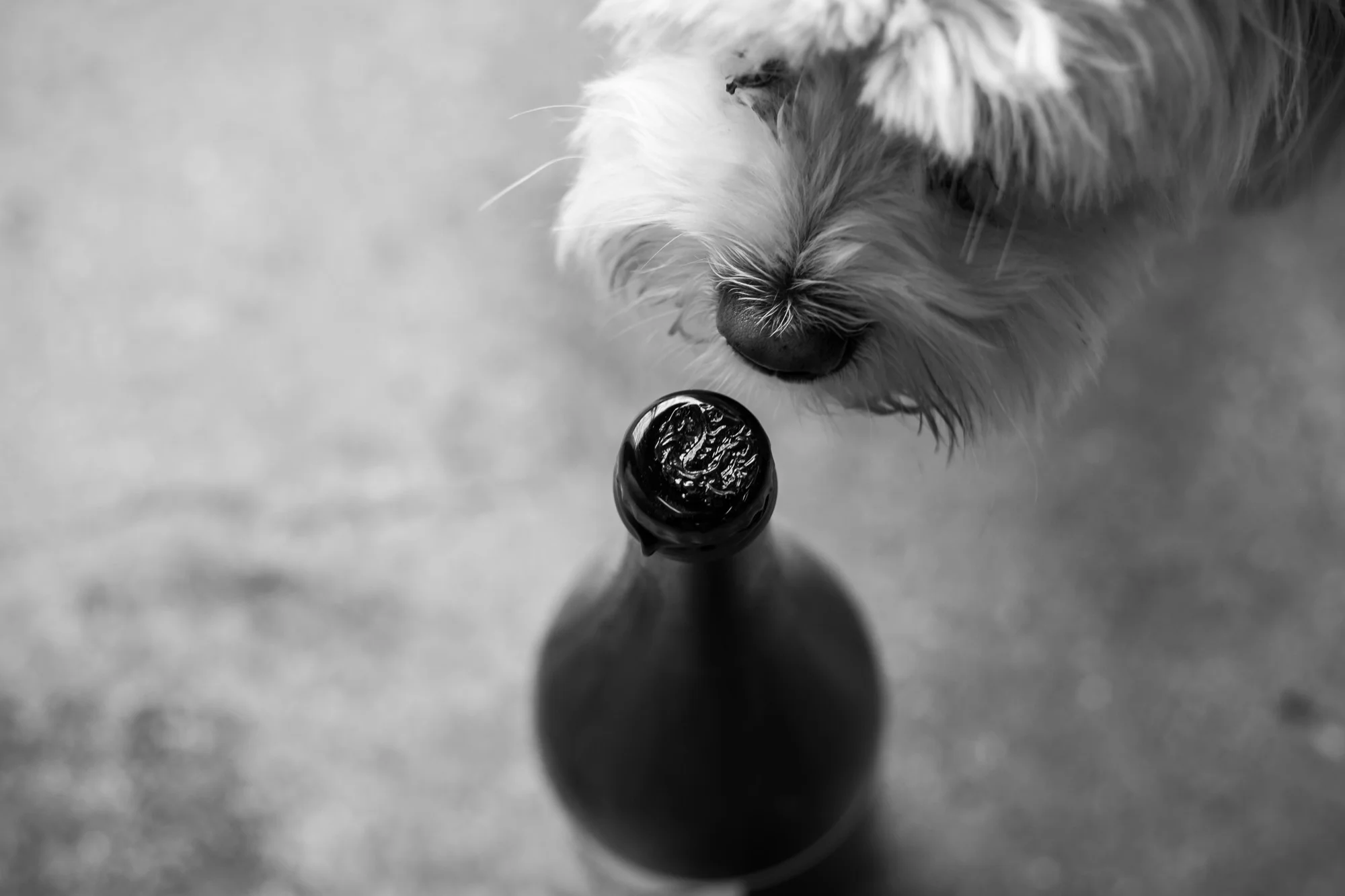 dry_river_pint_people (16 of 23).jpg